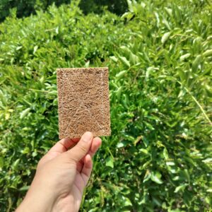 Coconut scrubber